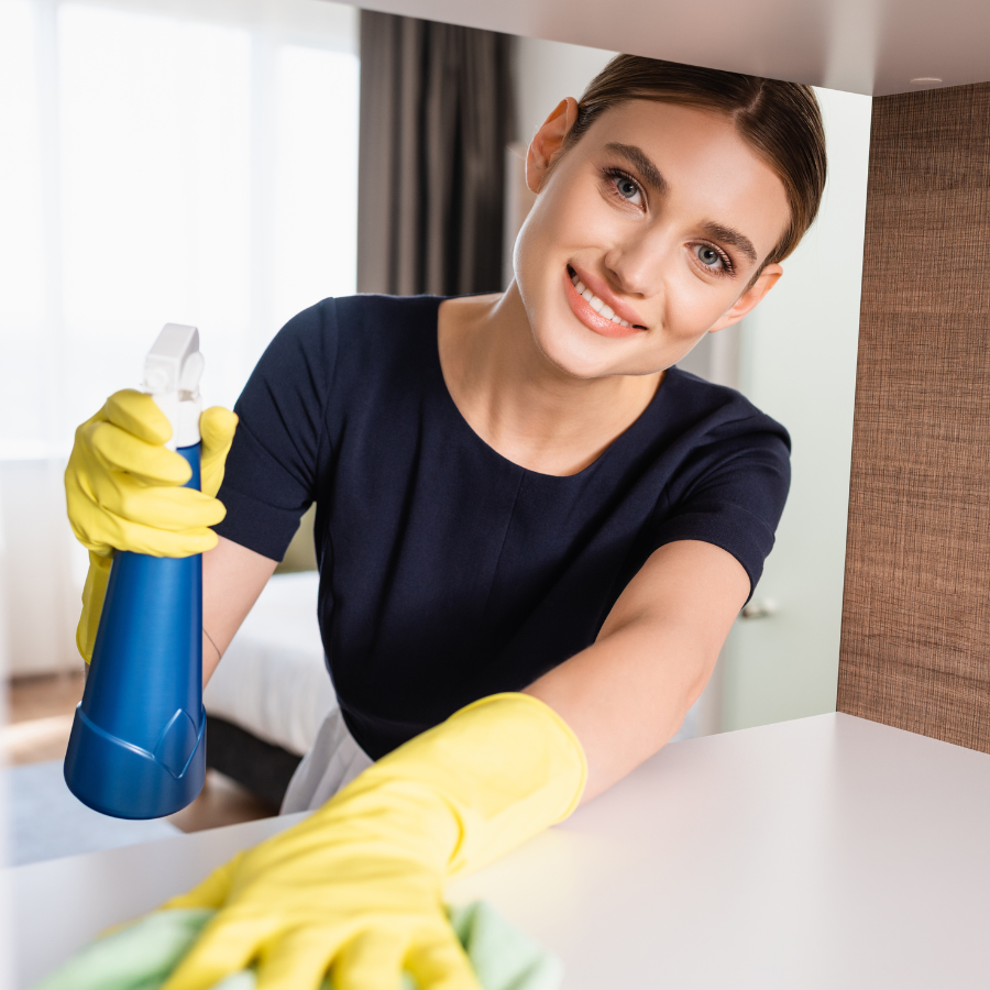 domestic cleaning image 15